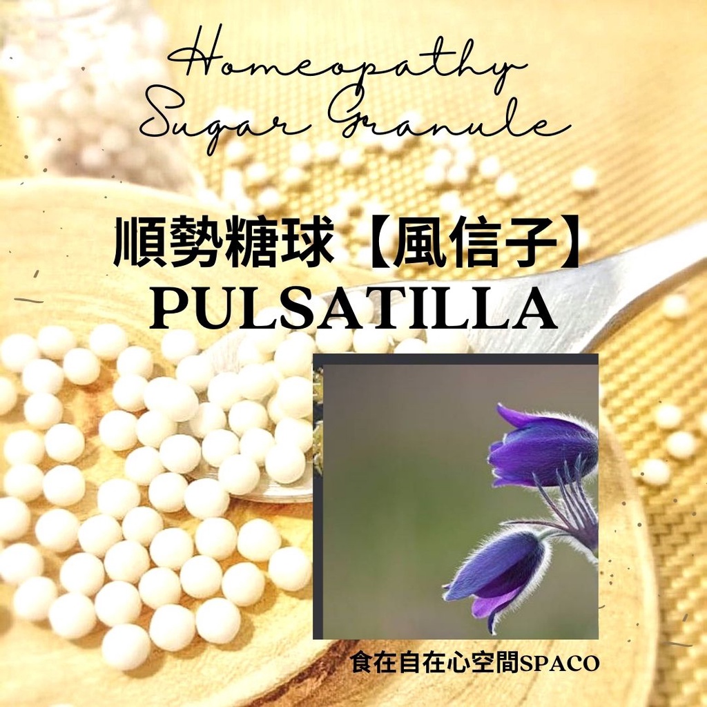 順勢糖球【風信子／白頭翁●Pulsatilla】Homeopathic Granule 9克 食在自在心空間