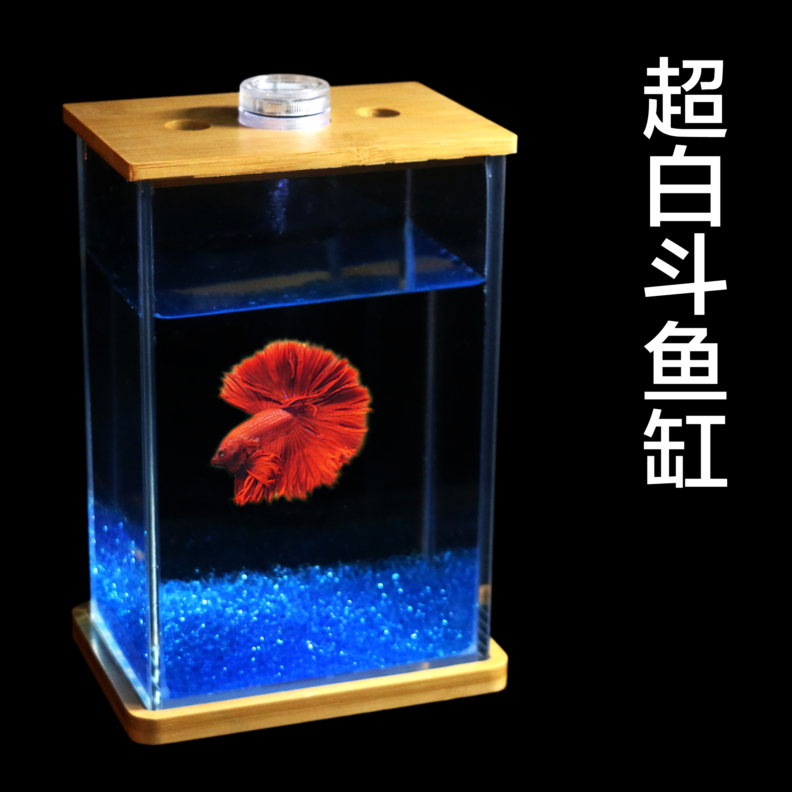 鬥魚水族 拍賣 評價與ptt熱推商品 21年4月 飛比價格