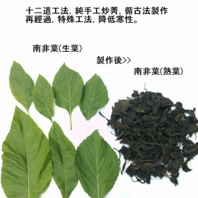 【苦心茶(南非葉)茶葉】專業手工製作㊣