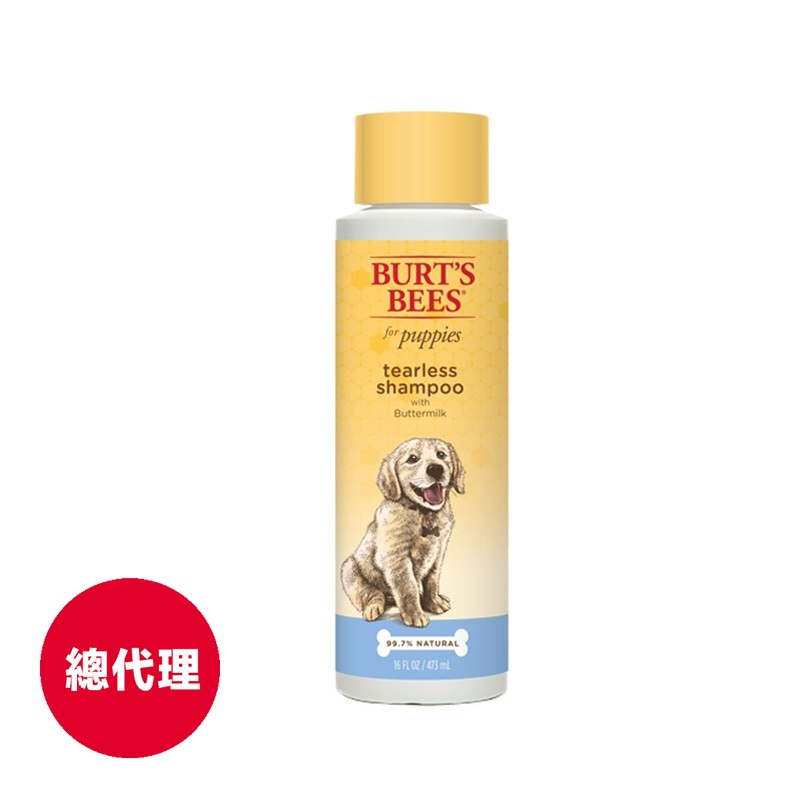 【Burt’s Bees小蜜蜂爺爺】蜂蜜牛奶沐浴露473ml(2024.02到期）