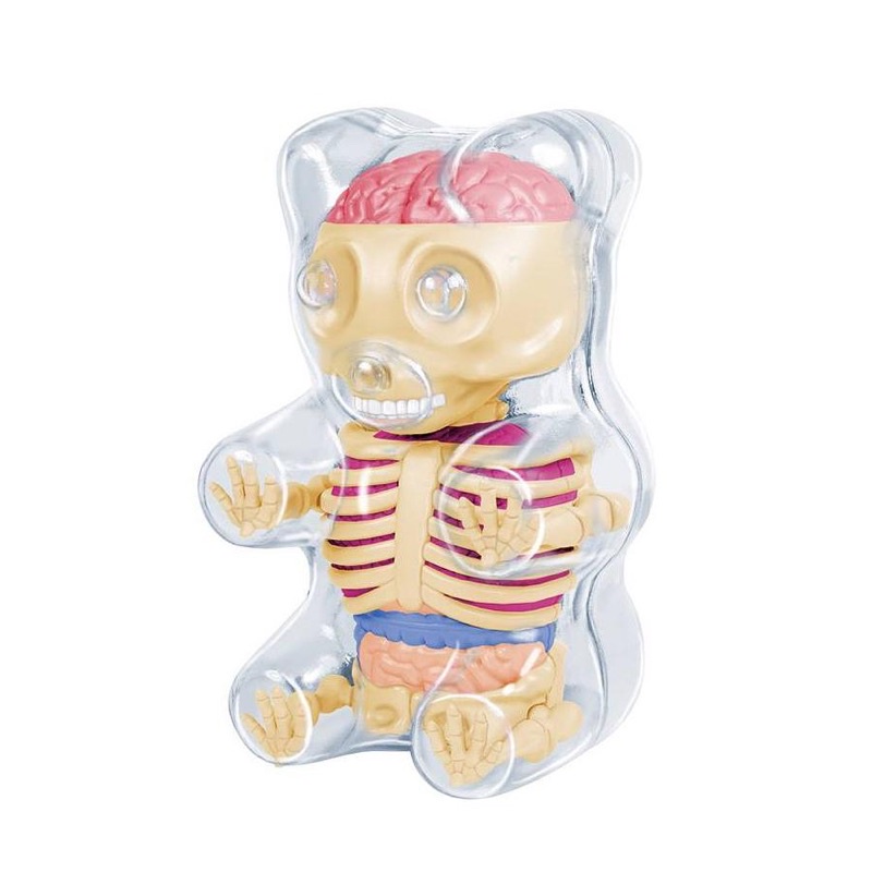 4D MASTER Gummi Bear Anatomy Clear 11CM 解剖公仔 小熊軟糖 🧸