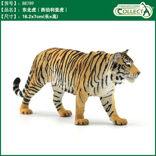 【W先生】CollectA 英國高擬真模型 老虎 東北虎 黑豹 邊境牧羊犬 馬來貘 拉布拉多 獅子 獵豹 非洲豹 犀牛
