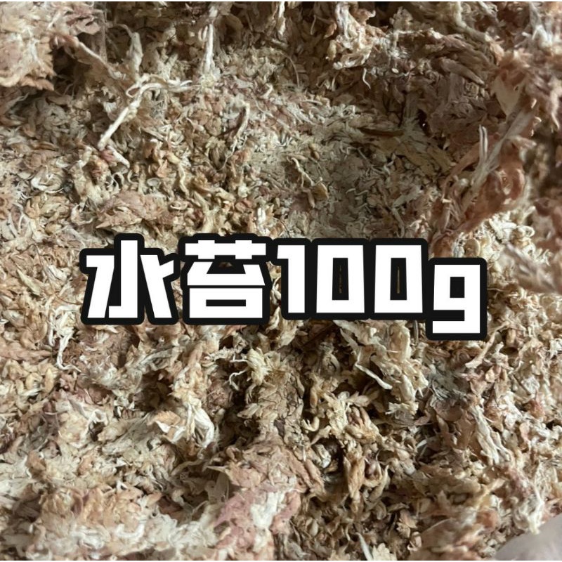 乾燥水苔 Ptt Dcard討論與高評價網拍商品 21年11月 飛比價格