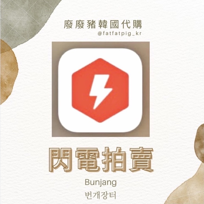 廢廢豬 韓國代購 閃電拍賣韓拍번개장터bunjang 推特代購naver Cafe 중고나라 蝦皮購物