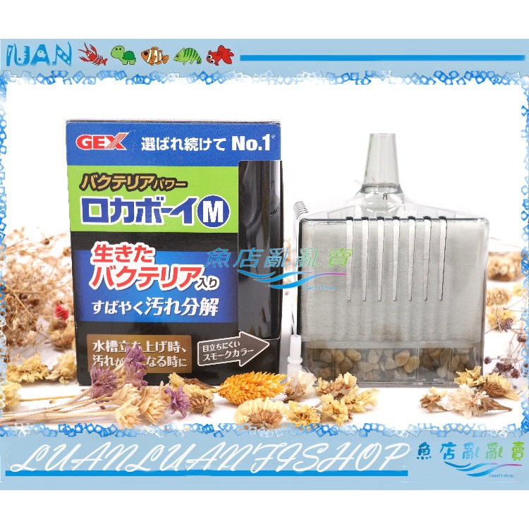 【魚店亂亂賣】日本GEX五味M型納豆菌淨水過濾器(水妖精)J-95氣動過濾器.水中沉水過濾