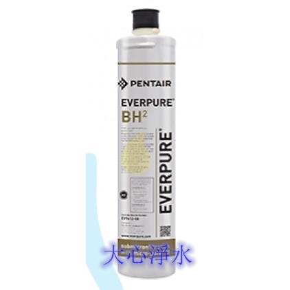 ≡大心淨水≡平行輸入EVERPURE BH2愛惠浦濾心 另有S104/S100/MH2/MC2/4C/H104