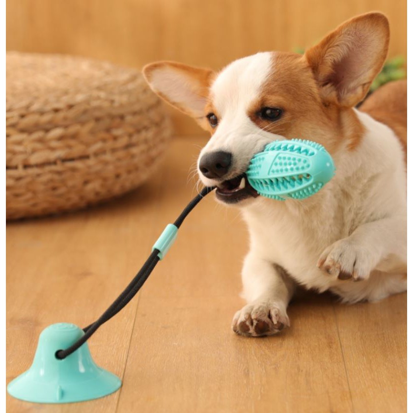 寵物吸盤潔牙玩具 寵物玩具球 漏食玩具 潔牙 耐咬 磨牙