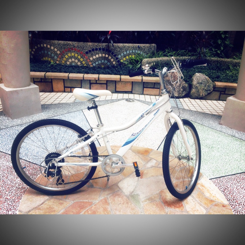 Giant revel jr 24 hot sale