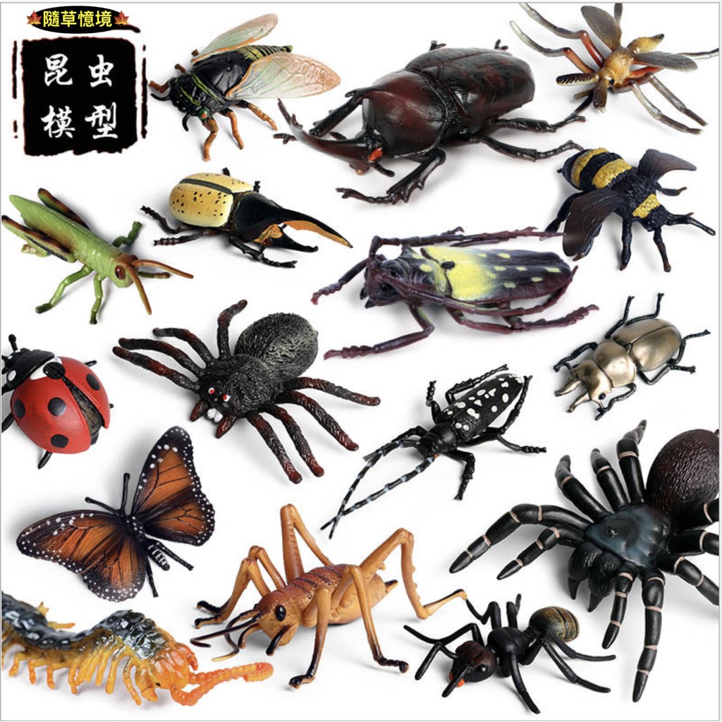 多款 大號甲蟲類獨角仙蟬三叉戟長戟大兜蟲節肢甲殼昆蟲動物模型野生動物spg 蝦皮購物