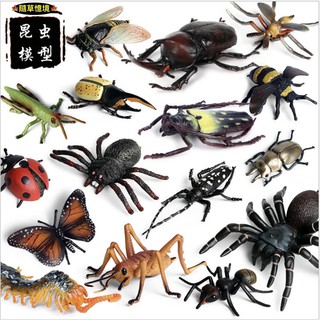 （多款）大號 甲蟲類 獨角仙 蟬 三叉戟 長戟 大兜蟲 節肢 甲殼 昆蟲 動物模型 野生動物 SPG