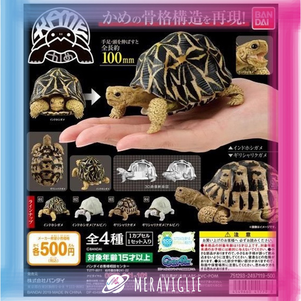 【M.M小舖】『現貨』 BANDAI 轉蛋 扭蛋 可動烏龜造型轉蛋 烏龜 造型轉蛋 環保扭蛋 可動 全4款