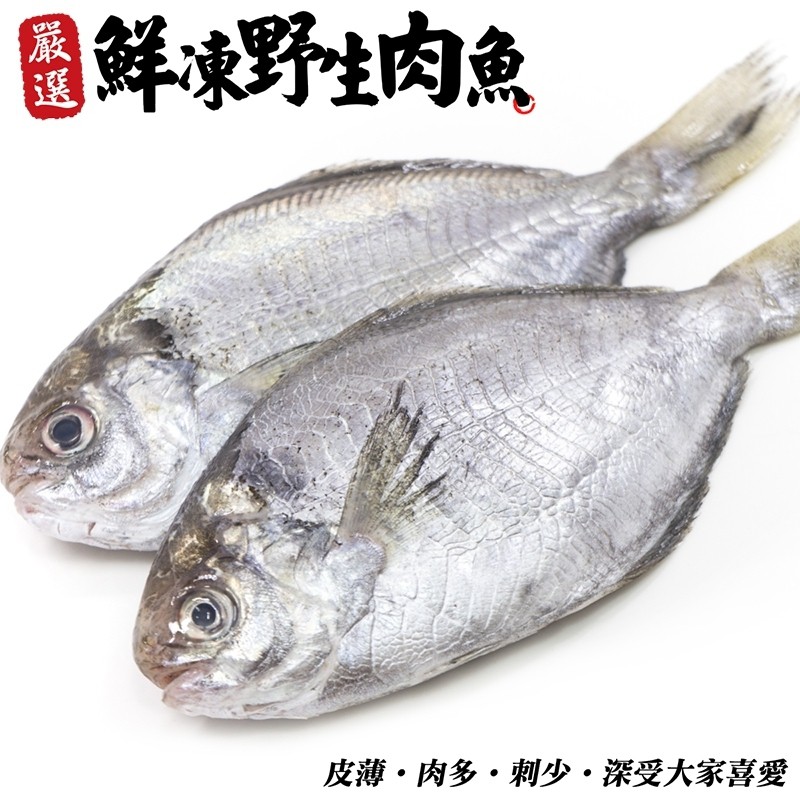 新鮮野生肉魚/肉鯽仔(每尾100g±10%)【海陸管家】滿額免運