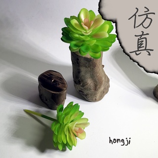 多肉 模擬多肉 微景觀 P58 假多肉植物 辦公室小物 療癒紓壓生日禮物拍照道具居家裝飾咖啡屋商店擺飾迷你木頭底座盆栽