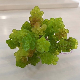 [HOME] 多肉植物 綠色圓葉景天 直徑11cm 模擬多肉植物 微景觀植物 桌面拍照道具 盆栽花盆婚禮空間佈置