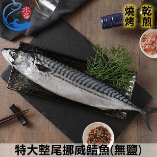 【佐佐鮮】特大整尾挪威鯖魚(無鹽)_600g±10%/尾