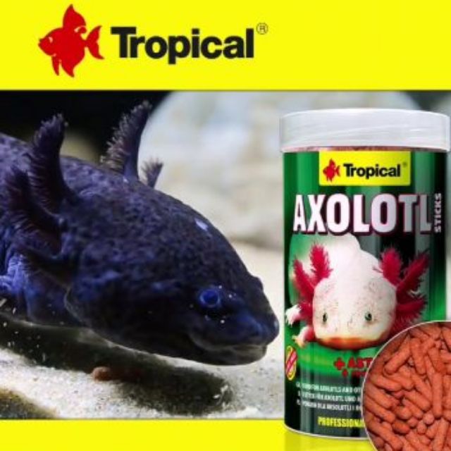 【彩虹騎士】波蘭德比克TROPICAL六角恐龍.角蛙.底棲魚長條飼料（250ml) 。兩棲，角蛙