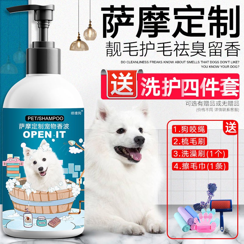 狐狸犬q版被評為最佳02 22 Beecost