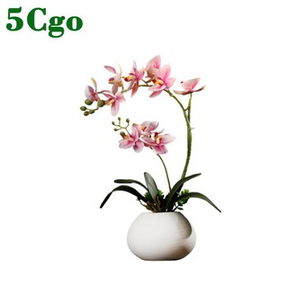 5Cgo中式模擬PU蝴蝶蘭花藝植物玄關桌茶几收銀臺客廳餐桌假花人造花乾燥花塑膠花桌面小盆栽裝飾擺設年節禮花大廳含花瓶