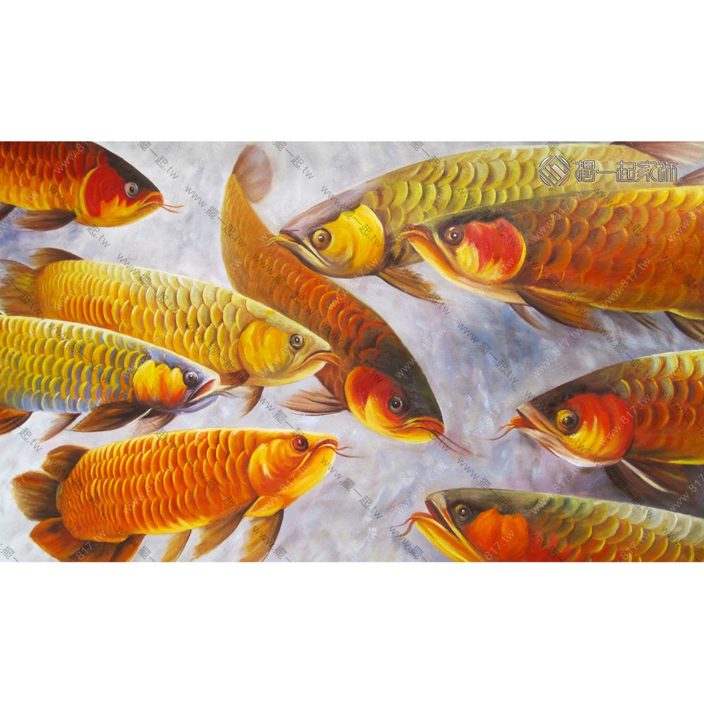 九魚圖 九如魚風水開運畫5531 金龍魚 金 財富 龍 吉祥 魚 富足 招財進寶吉祥富貴吉慶有餘萬事如意 蝦皮購物