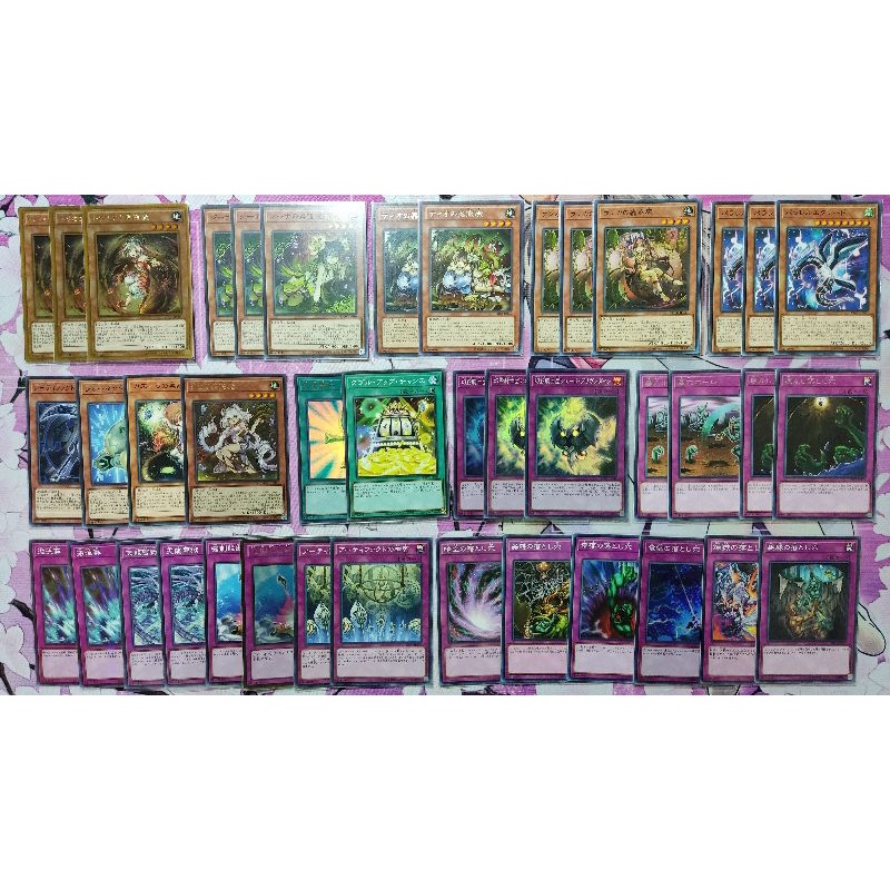 蟲惑魔牌組的價格推薦 22年5月 比價比個夠biggo