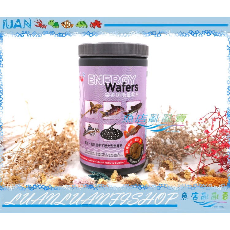 台灣fishlive樂樂魚能量餅片13號 緩沉 大 960ml 底層魚主食 異形 底棲魚飼料 魚店亂亂賣 蝦皮購物