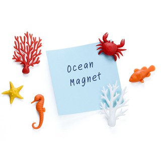 QUALY 熱帶海洋-磁鐵(6入一組) 海洋生物 泰國設計