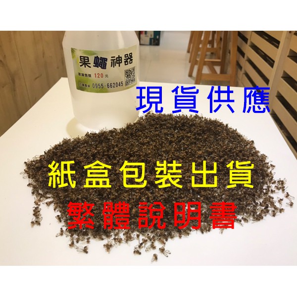 【台灣出貨】斜槓老王 [果蠅神器]瓜實蠅果實蠅可加克蠅香及甲基丁香油效果佳非頻仔