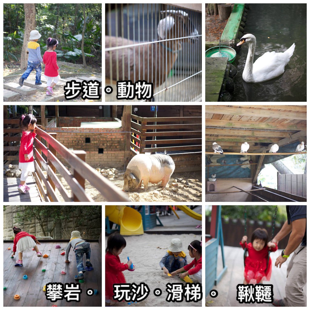 桃園楊梅 東森山林度假酒店平日雙人房一泊三食 吃到飽早餐 吃到飽晚餐 簡式午茶各2份 蝦皮購物