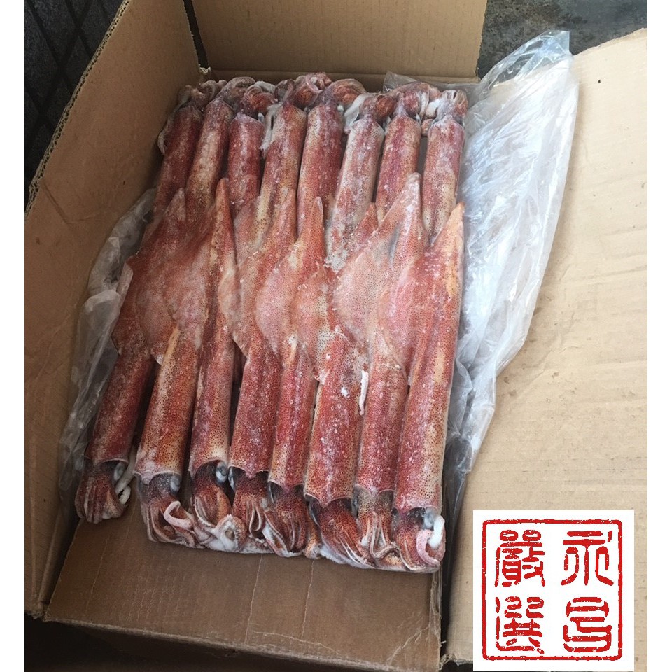 永昌嚴選活凍海產 活凍透抽 小卷 一尾200g 10 蝦皮購物
