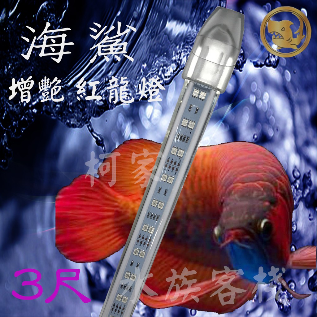 【柯家水族客棧】（限嘉義台南地區）(免運) 海鯊增艷紅龍燈3尺LED水中燈 龍魚燈