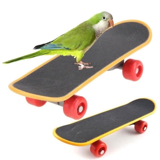 台灣出貨 鸚鵡玩具 磨爪迷你滑板 腳下益智玩具 鸚鵡滑板車
