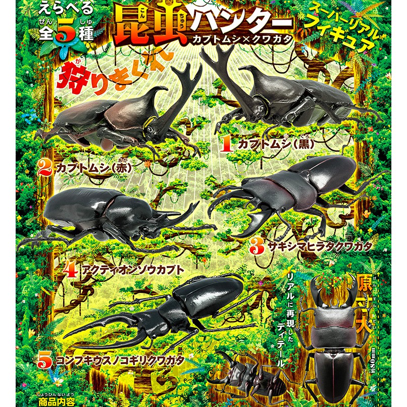 F Toys 日版盒玩生物課教具昆虫ハンター鍬形蟲vs 獨角仙 カブトムシ甲蟲王者 蝦皮購物