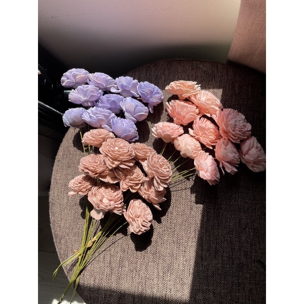 Mei We I 日本大地農園索拉玫瑰 乾燥花 永生花 不凋花 乾燥花禮 乾燥花盆 乾燥盆花 母親節禮物 康乃馨盆花 蝦皮購物