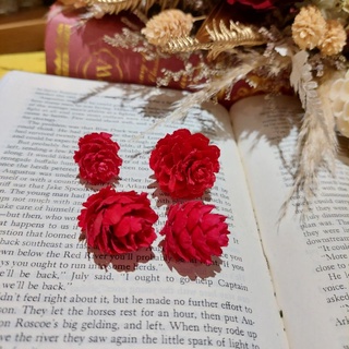 秋的果實橡實果 青剛爍 小松果 中松果 大松果 肉桂 尤加利果乾燥花材 不凋花 永生花 婚禮小物 拍攝道具 手作材