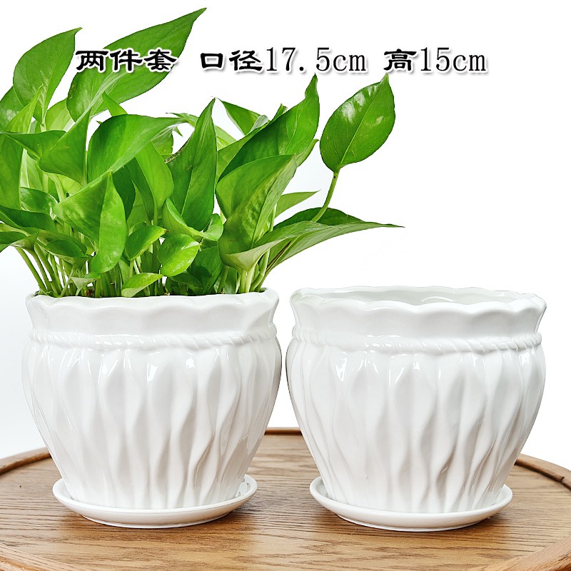 Wlkp 大號蓮華白大中花盆陶瓷特價清倉簡約帶托盤個性家用綠蘿吊蘭 蝦皮購物