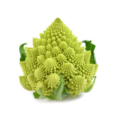 羅馬花椰菜種子(寶塔花椰)~Romanesco broccoli