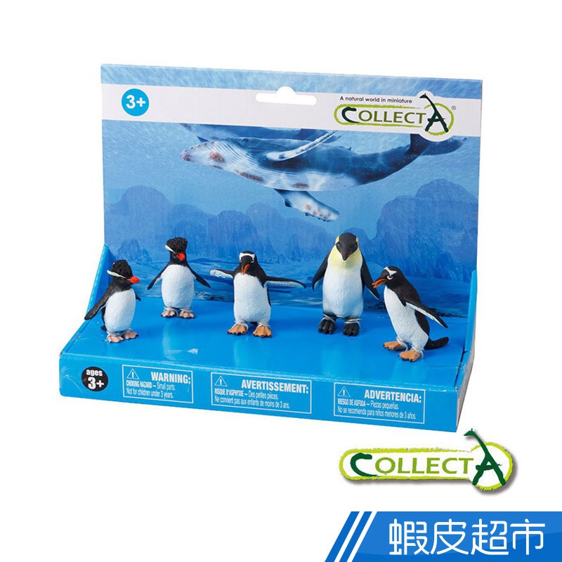 collectA 企鵝家族組(5入)~英國高擬真模型R89640 現貨 廠商直送