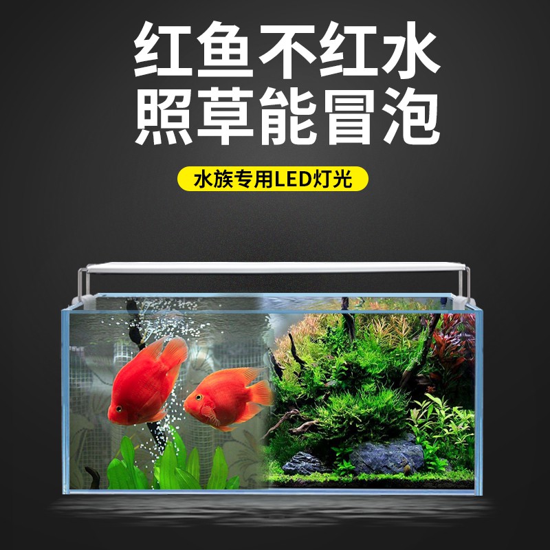 現貨魚缸燈水草燈夾燈led 魚缸燈led燈防水水族箱水草燈全光譜草缸燈架增艷超亮小型照明燈 蝦皮購物