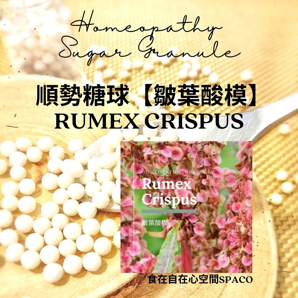 順勢糖球【皺葉酸模●Rumex Crispus】Homeopathic Granule 9克 食在自在心空間