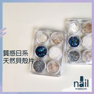快速出貨🔹日系貝殼片 [6入一盒]貝殼碎片。彩色貝殼。天然貝殼片。超薄貝殼片。美甲材料。鮑魚碎片。手工甲片穿戴甲片造型用