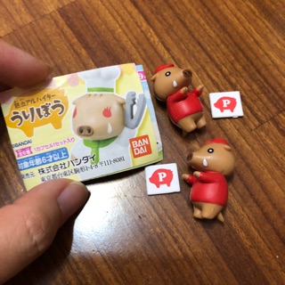 （現貨）扭蛋 廚師豬 不倒翁 達摩 皮卡丘 飛天小女警 彈珠汽水