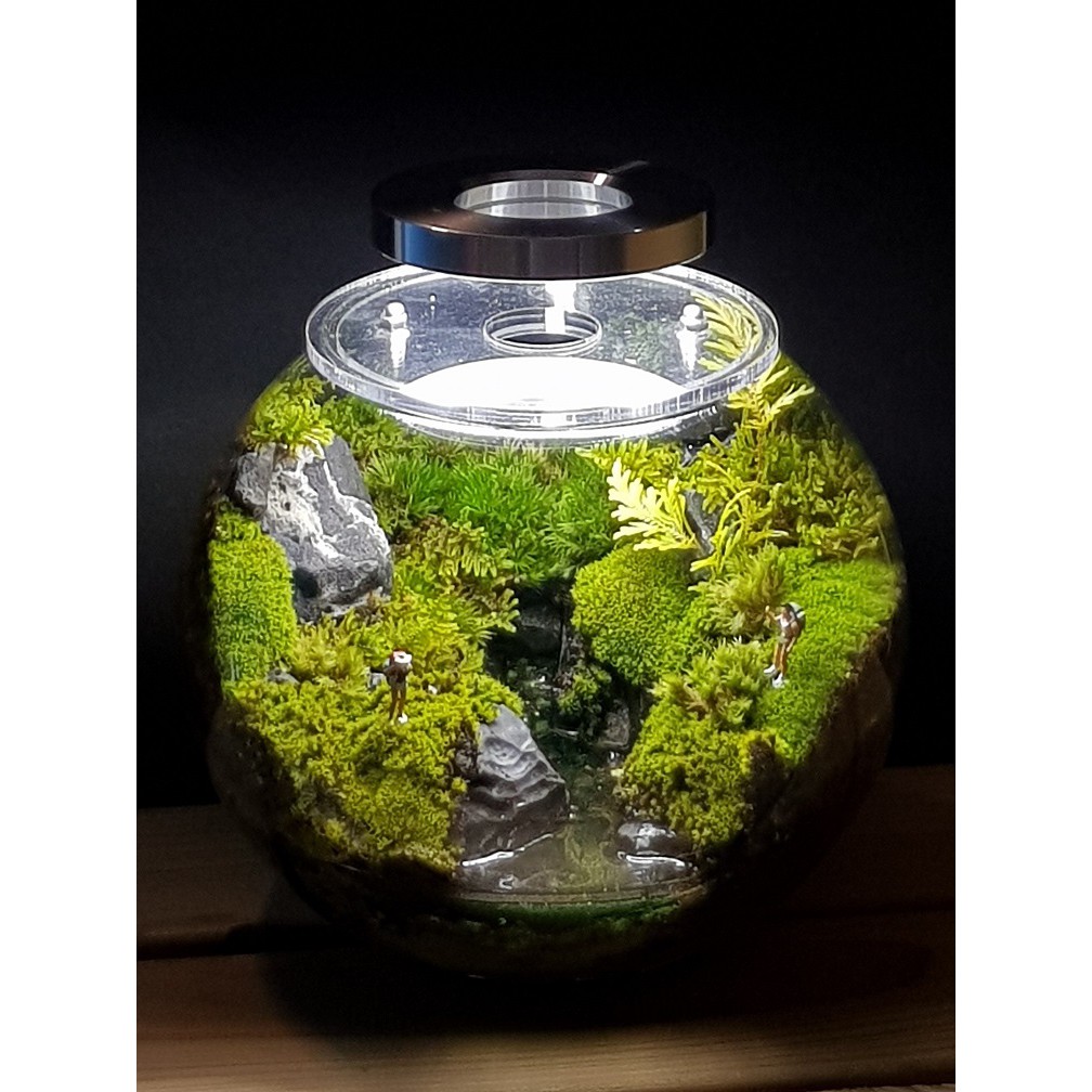 02 附灯苔蘚山林微境景觀瓶花盆花器diy苔蘚微景觀生態瓶小品盆栽迷你盆栽 蝦皮購物