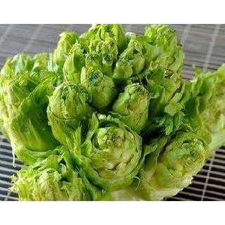 【媽咪蔬果園】、抱子芥菜 種子