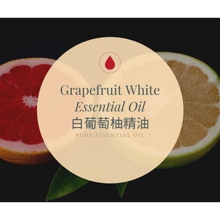 【MW精油工坊】白葡萄柚 Grapefruit White Essential Oil 10ml