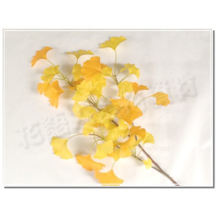 單枝銀杏葉 黃色板橋發貨餐廳花藝盆景配花盆花展場頭環花圈櫥窗花語人造花資材園藝用品婚禮小物 蝦皮購物