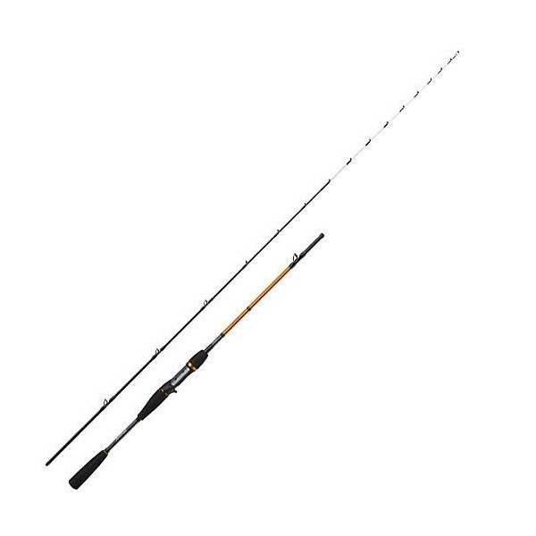 濱海釣具 DAIWA Leading 82 MH-225 船竿 天亞 白帶