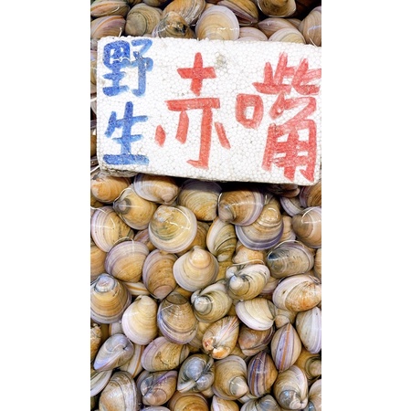 （現貨20斤）野生赤嘴（紅肉）一斤