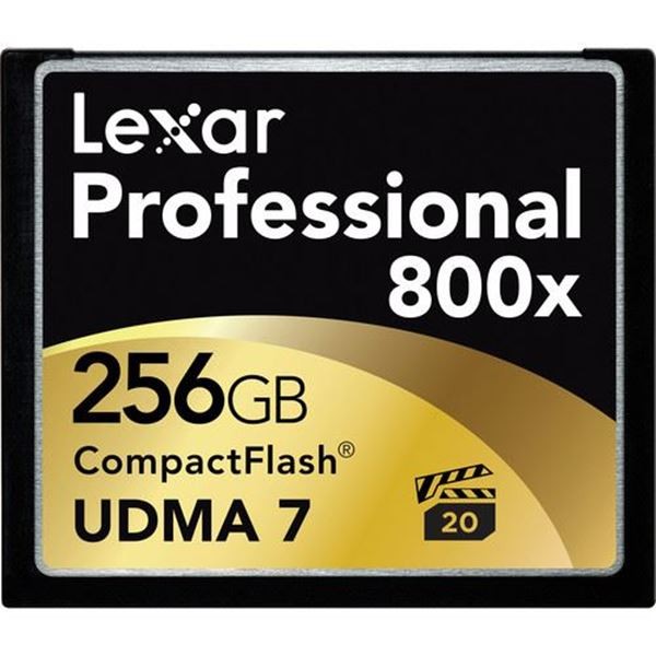[終身保固] Lexar 雷克沙 Professional 800x 256GB 非Sandisk 創見