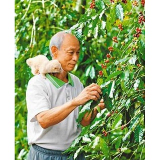 🐼果子狸咖啡 ☕竹香咖啡 🍒咖啡櫻桃研磨🐗臺東山豬園 麝香 咖啡豆 咖啡粉 濾掛咖啡 宅配 【童夢小舖】