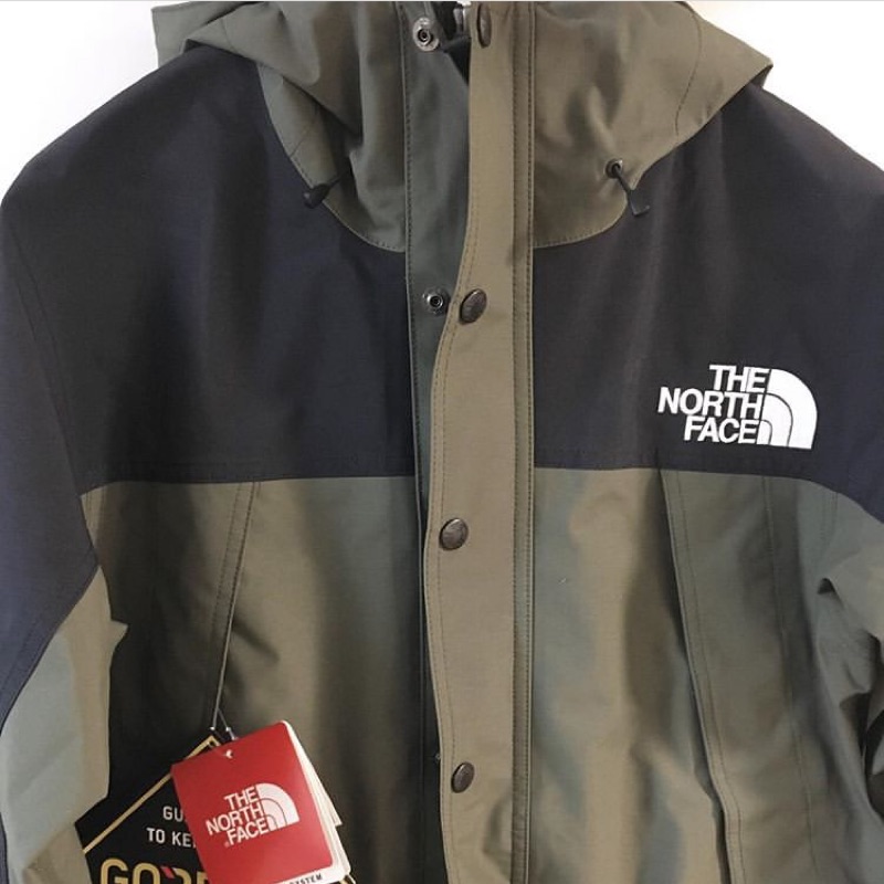 The North Face np11834 限量軍綠 Gore tex GTX